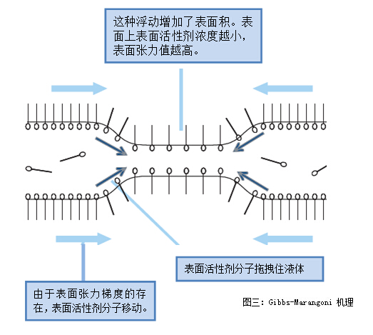 圖三：Gibbs-Marangoni 機(jī)理